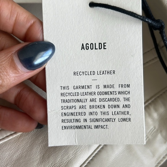 Agolde Recycled Leather 90s Pinch Waist Pants - Picture 10 of 13